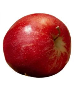 Apple (500 Gram